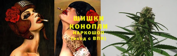 apvp Гусь-Хрустальный