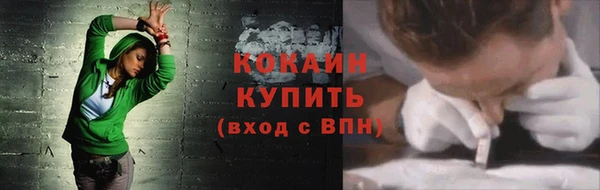 apvp Гусь-Хрустальный