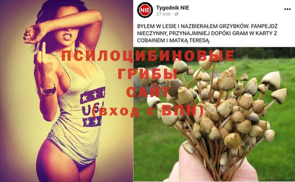 apvp Гусь-Хрустальный