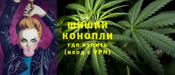 apvp Гусь-Хрустальный