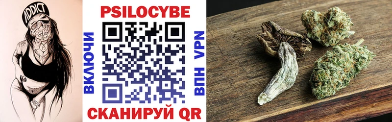 Псилоцибиновые грибы Psilocybine cubensis  Купить закладки  Кашира 